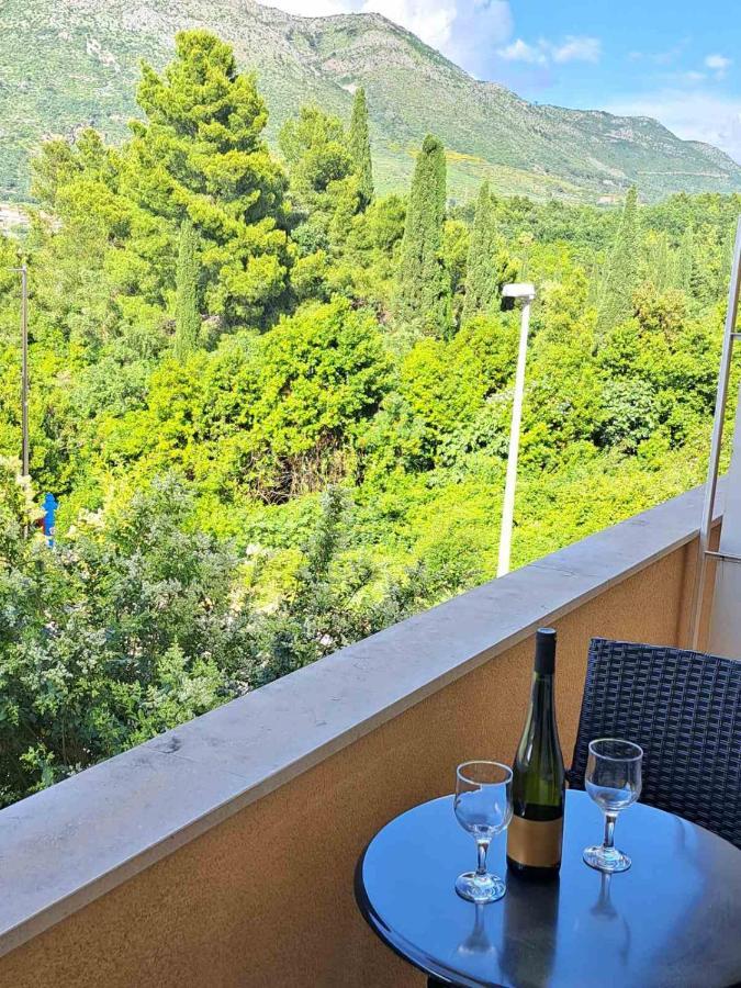 Guesthouse Villa Stanovic Vlaho Cavtat Extérieur photo