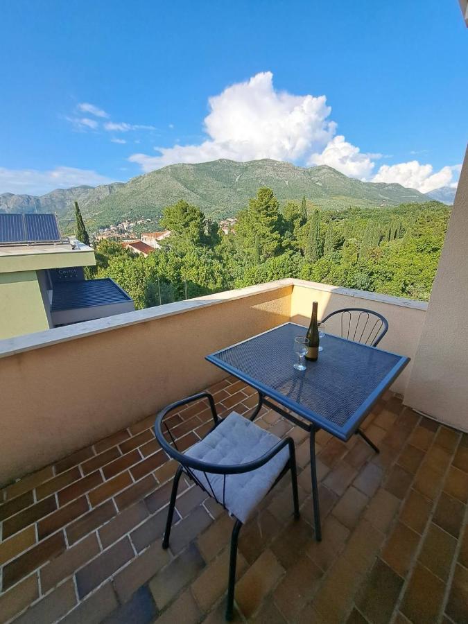 Guesthouse Villa Stanovic Vlaho Cavtat Extérieur photo